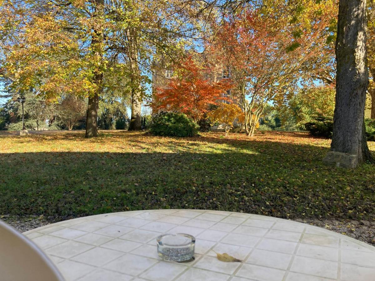 Orangerie Du Chateau Marith - Domaine Avec Piscine Clairac  Bilik gambar