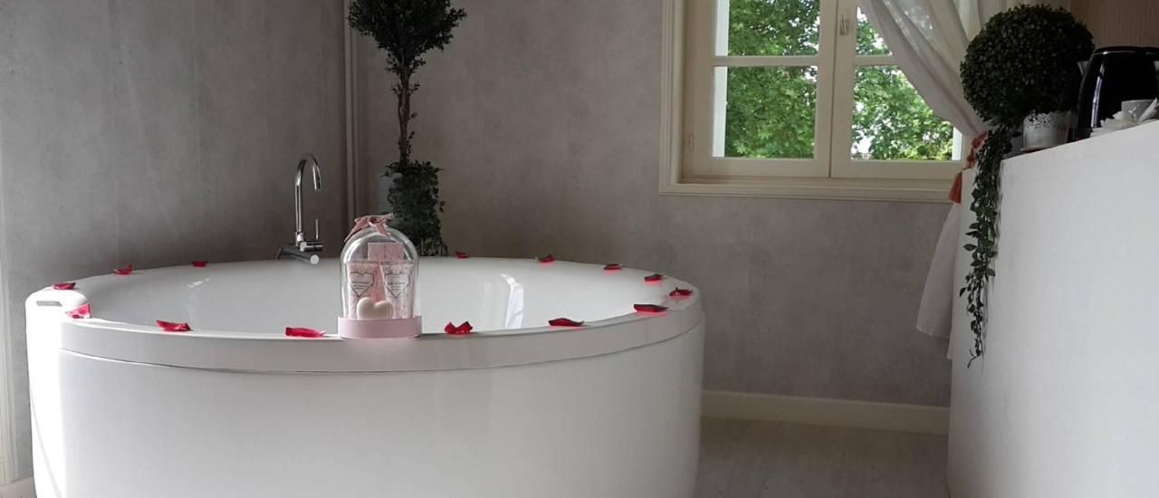 Orangerie Du Chateau Marith - Domaine Avec Piscine Clairac  Luaran gambar