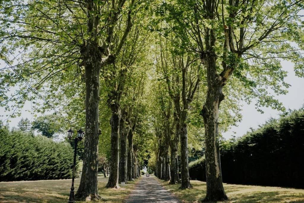 Orangerie Du Chateau Marith - Domaine Avec Piscine Clairac  Luaran gambar