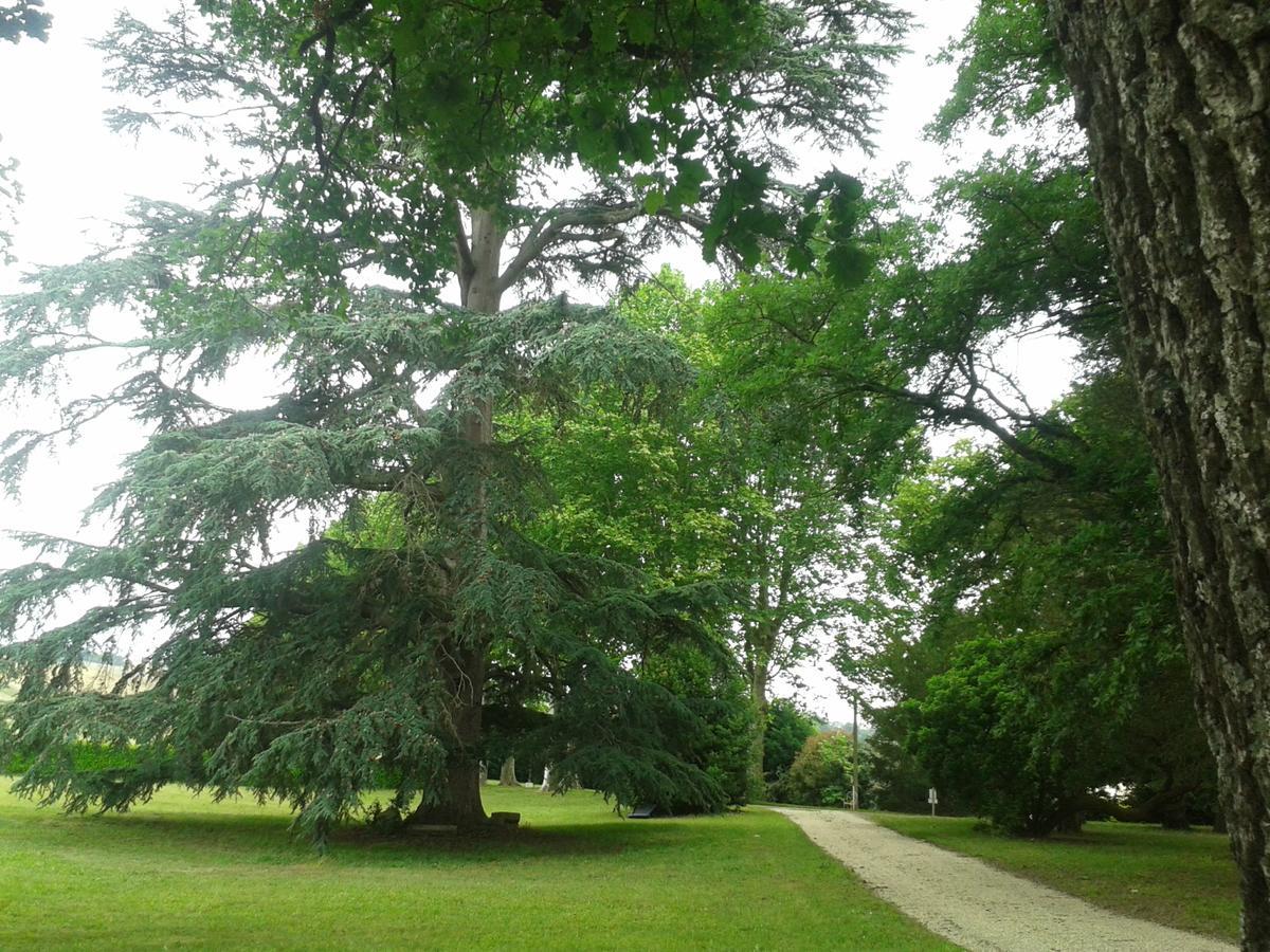 Orangerie Du Chateau Marith - Domaine Avec Piscine Clairac  Luaran gambar