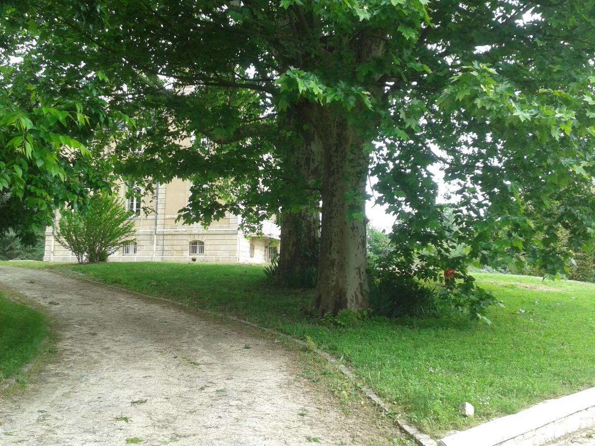 Orangerie Du Chateau Marith - Domaine Avec Piscine Clairac  Luaran gambar